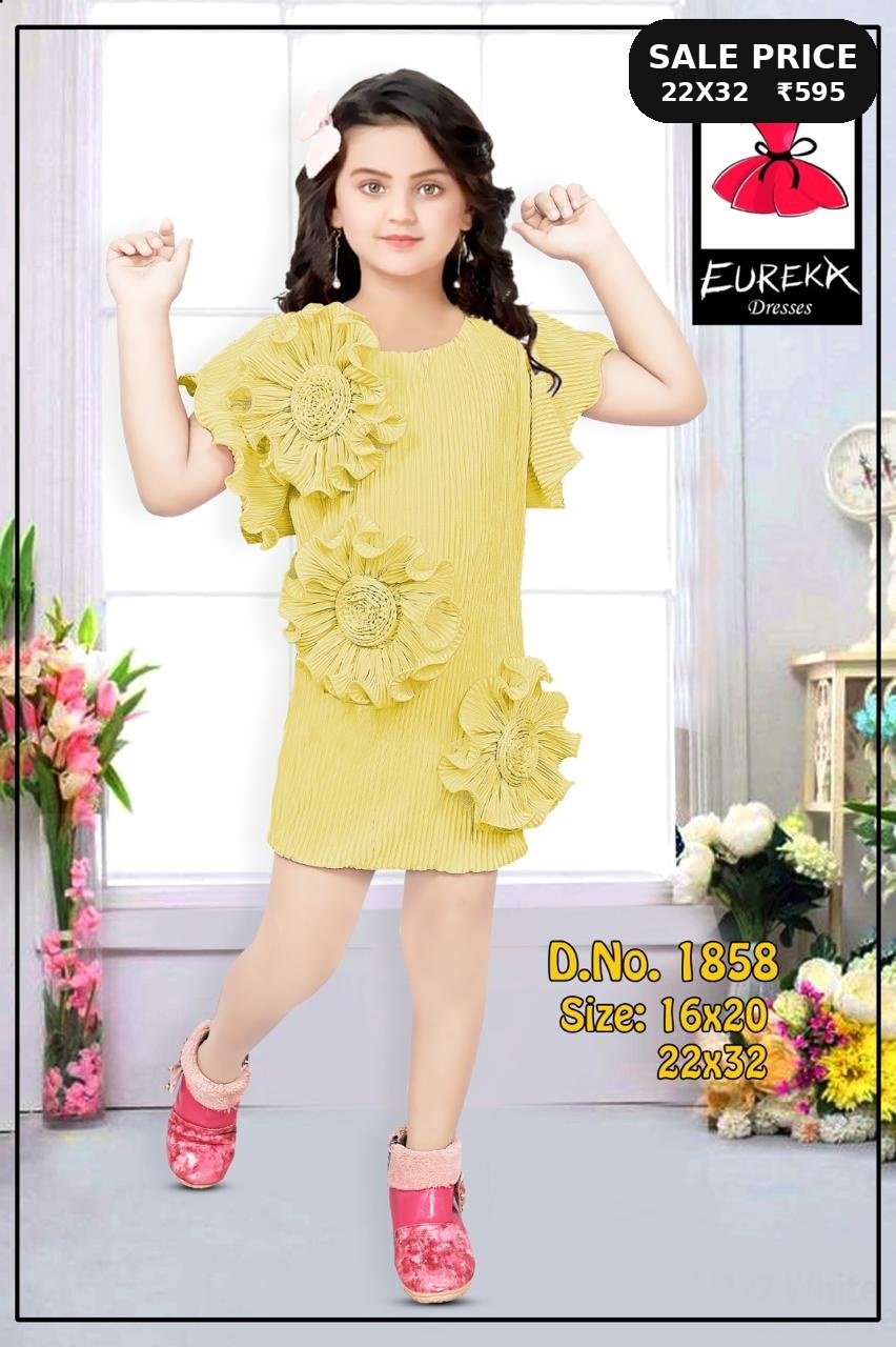 Eureka Design 1858 image 3