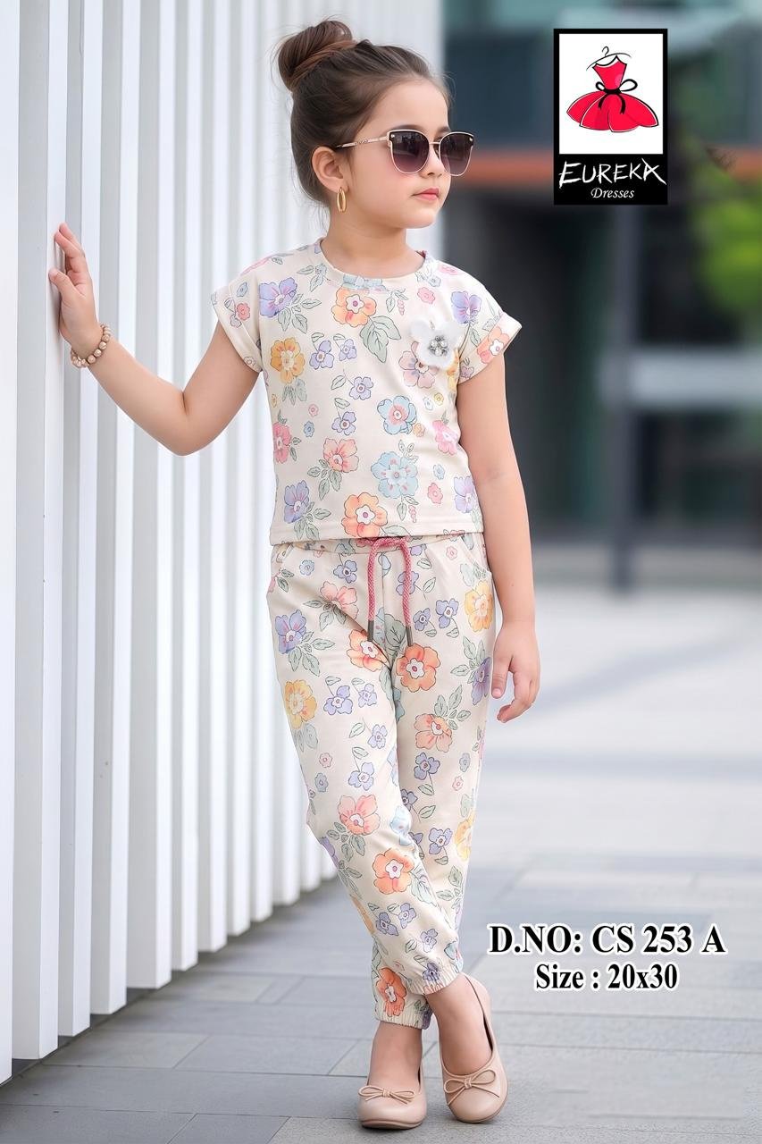 Eureka Design CS-253A